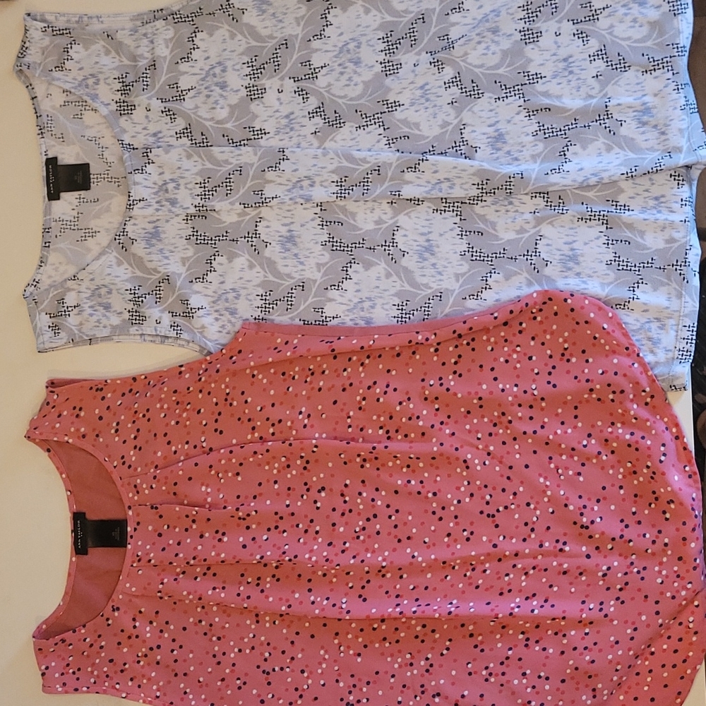 Two for One Ann Taylor Sleeveless Tops